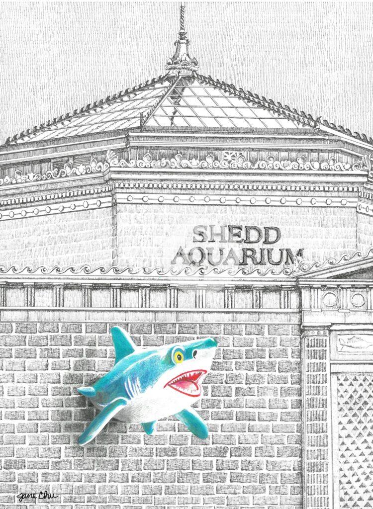 Shedd Aquarium